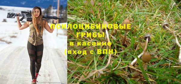 mix Мегион