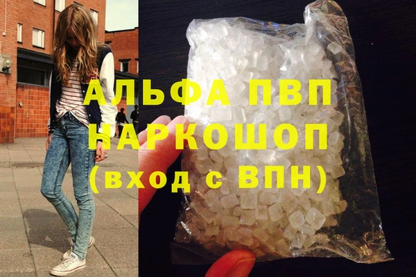 СК Медвежьегорск