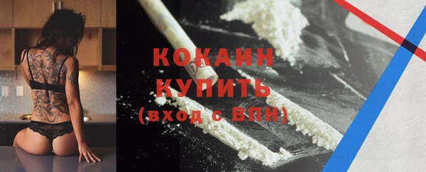 ПСИЛОЦИБИНОВЫЕ ГРИБЫ Медногорск