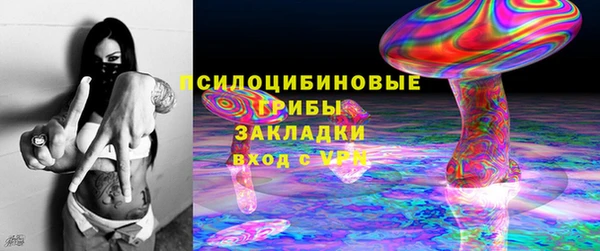 СК Медвежьегорск