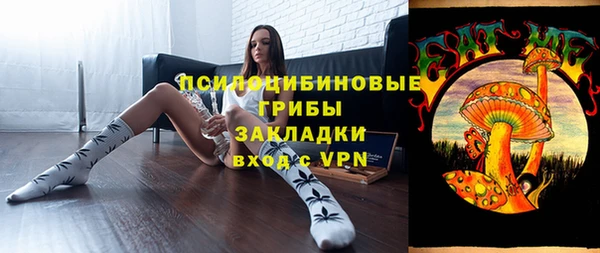 СК Медвежьегорск