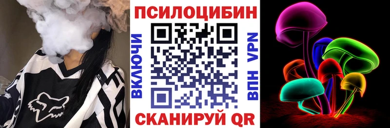 Купить  Юрьевец  Псилоцибиновые грибы MAGIC MUSHROOMS 